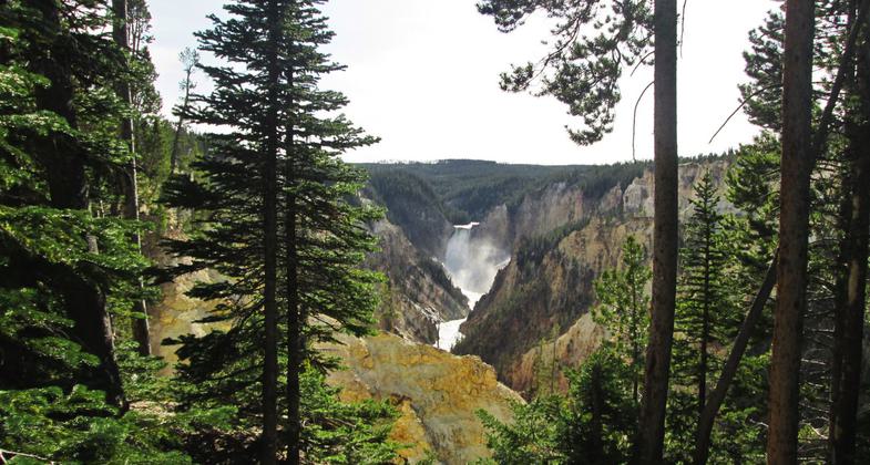 View from the South Rim Trail, near Artist's Point, Yellowstone National Park. Photo by Valerie A. Russo.