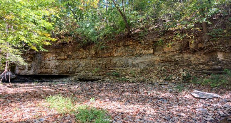 scenic creek bed along the George Latham Trail. Photo by Tim Wegener.