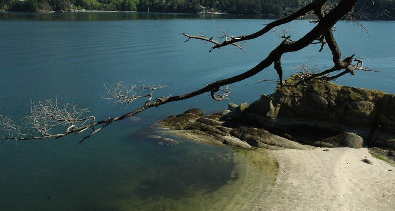 Chuckanut Island near Bellingham, WA. Photo by M. Passo.