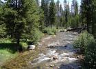 Wild and Scenic section of the North Fork John Day River, Grant County, Oregon. Photo by USFS.