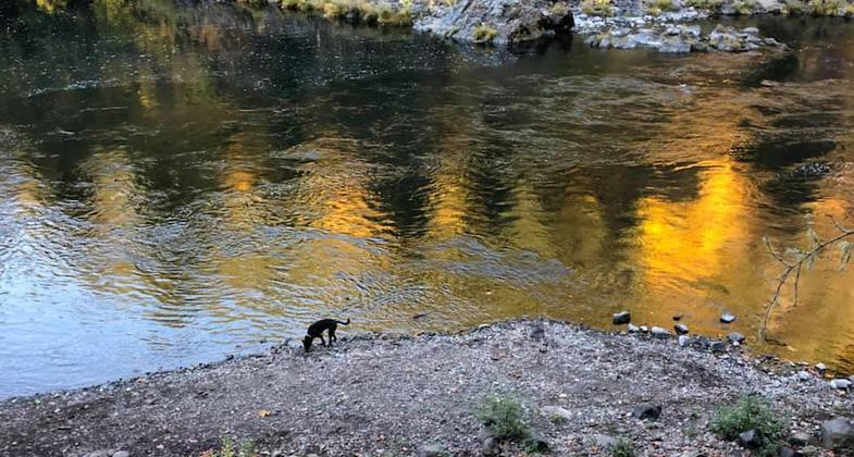 Fall colors reflecting on the water. Photo by Gabrielle Webster.