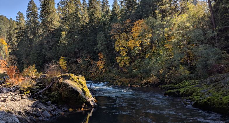 The Umpqua River from Stillwater Bridge, at the start of the trail. Photo by Michael.