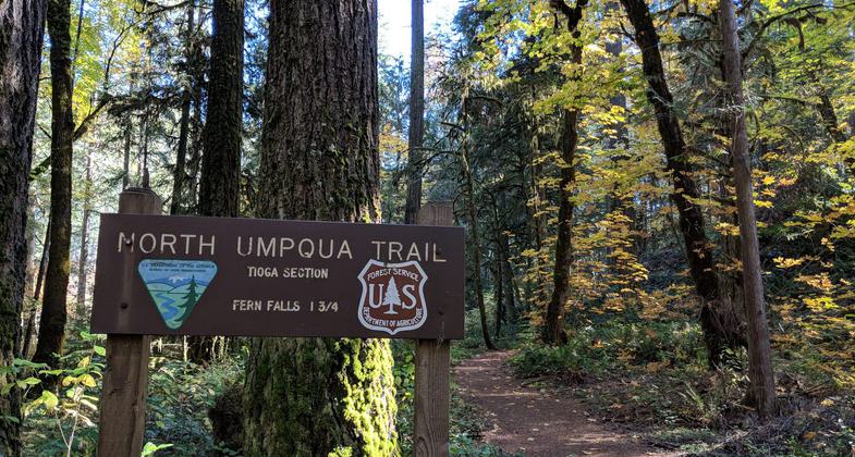 Trail mile 0. Photo by Michael.