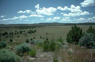 Oregon High Desert Trail