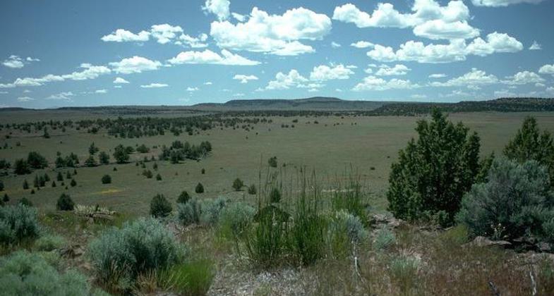 Oregon High Desert near Frenchglen. Photo by BLM/wiki.
