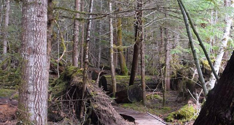 (https://www.confettitravelcafe.com/). Photo by Photo by Nancy Zaffaro.