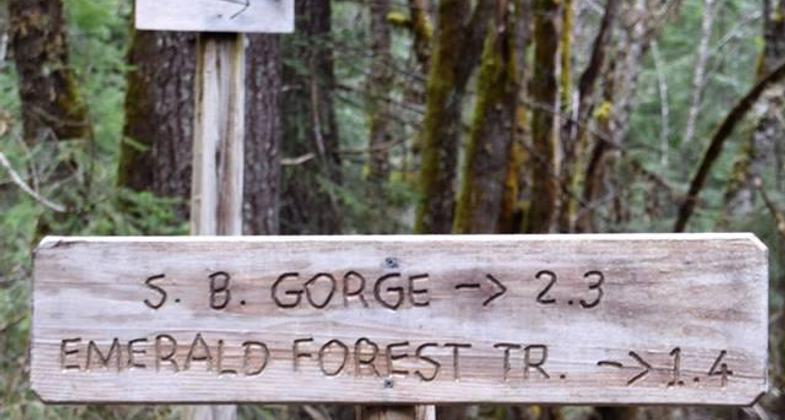 (https://www.confettitravelcafe.com/). Photo by Photo by Nancy Zaffaro.