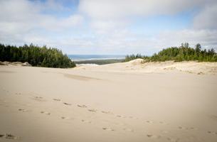 Tahkenitch Dunes Trail