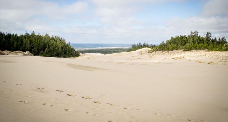 photo by Mike Bullington.