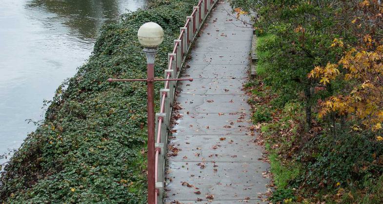 It's not uncommon for the trail to flood in winter.