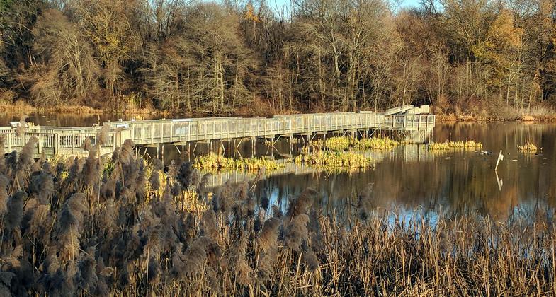 Wildlife viewing boardwalk on the East Impoundment Trail. 12-1-2017. Photo by Jim Walla.