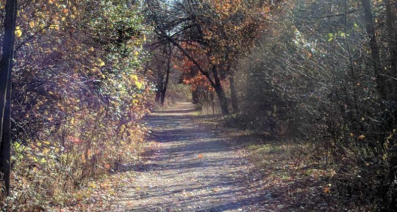 Trail to the east of the impoundment lake. 12-1-2017. Photo by Jim Walla.