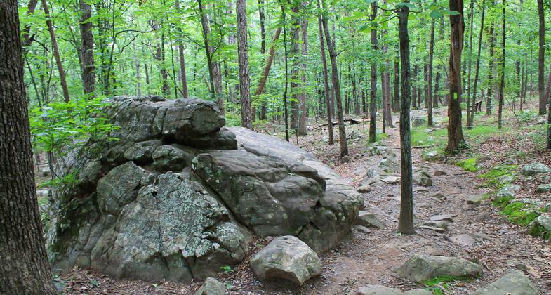 http://arkokhiker.org/central-arkansas/pinnacle-mountain-rocky-valley-east-quarry-trails/. Photo by (c)Arklahoma Hiker.