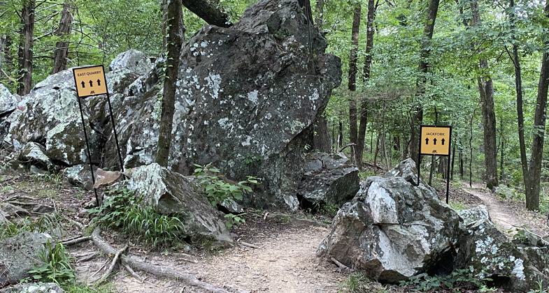East Quarry trail fork. Photo by Elizabeth J. Walters.