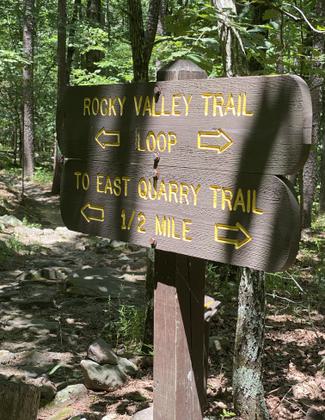 Decision? Photo by Elizabeth J. Walters.