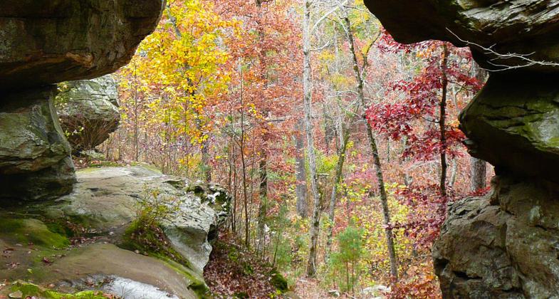Natural Bridge on Seven Hollows Trail. Photo by Bryan Hodges.