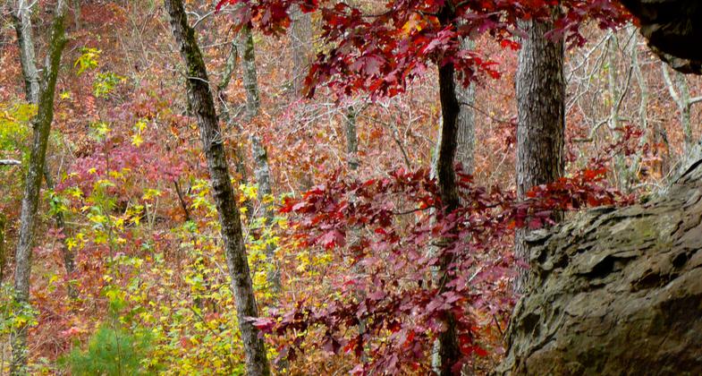 Natural Bridge on Seven Hollows Trail. Photo by Bryan Hodges.
