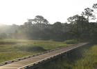 Marsh Boardwalk in Hunting Island State Park. Photo by Cdamgen wiki.