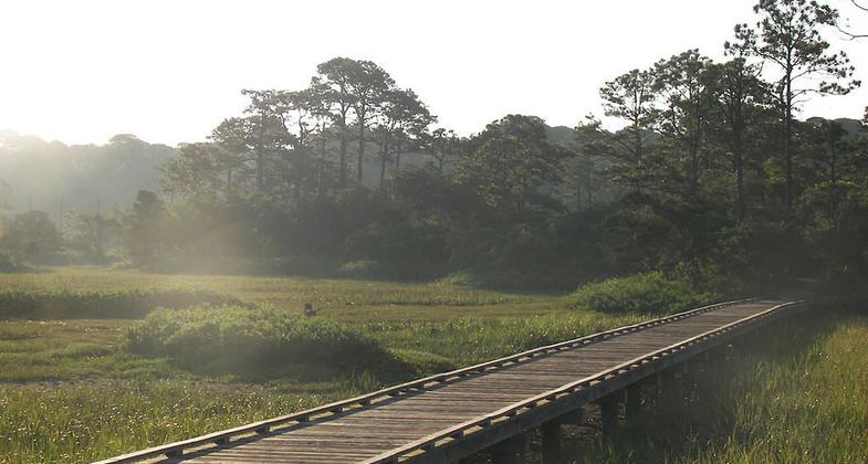 Marsh Boardwalk in Hunting Island State Park. Photo by Cdamgen wiki.