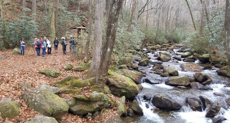 Middle Saluda River. Photo by Tasha Simon.