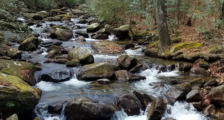 Middle Saluda River. Photo by Tasha Simon.