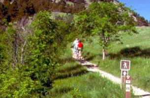 Bear Butte Summit Trail