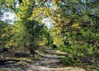 A refuge from the wind anytime of the year. A great place to hike or mountain bike single-track trails. Photo by Rod Kranzler.