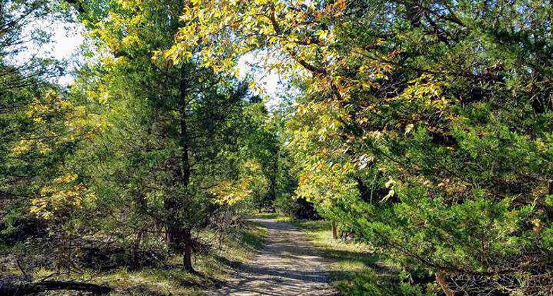 A refuge from the wind anytime of the year. A great place to hike or mountain bike single-track trails. Photo by Rod Kranzler.