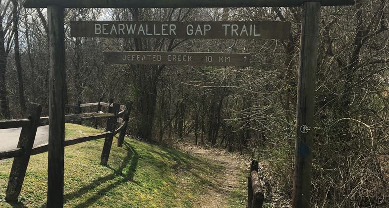 Two Prong primitive camping site located along the trail. Photo by Donna Kridelbaugh.