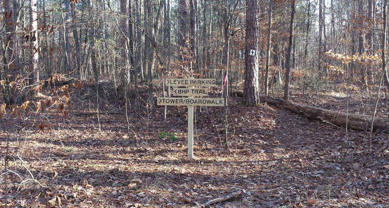 Big Hill Pond State Park. Photo by Tennessee State Parks.