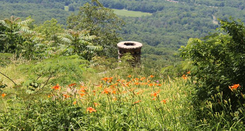 Chickamauga and Chattanooga National Military Park. Photo by Gloria Bell.