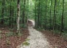 The trail gently winds through a reforested landscape and has a crushed rock surface. Photo by Donna Kridelbaugh.