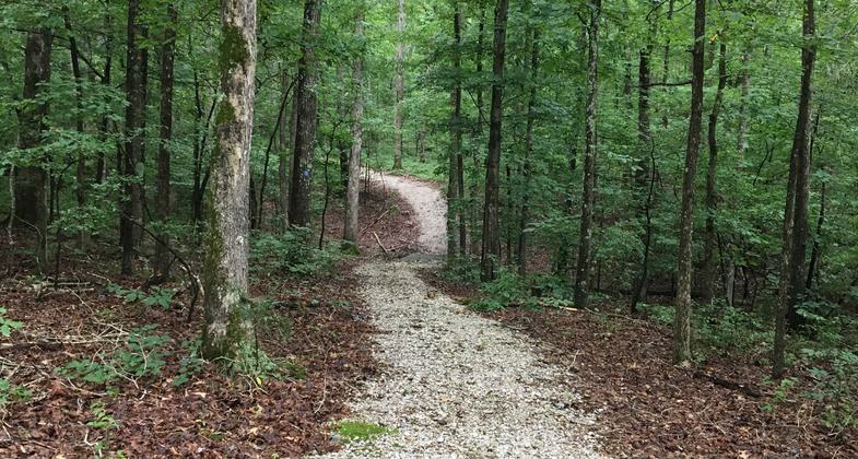 The trail gently winds through a reforested landscape and has a crushed rock surface. Photo by Donna Kridelbaugh.