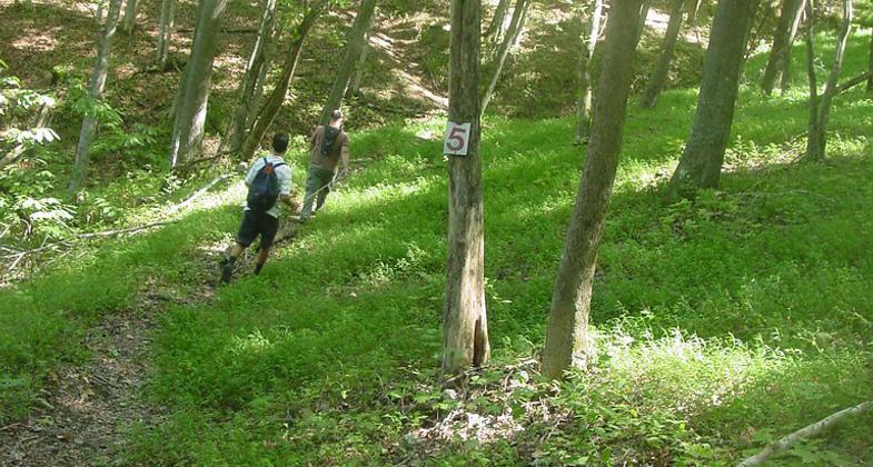 Wilderness Trail at Cordell Hull Lake. Photo by Kelly Stewart.