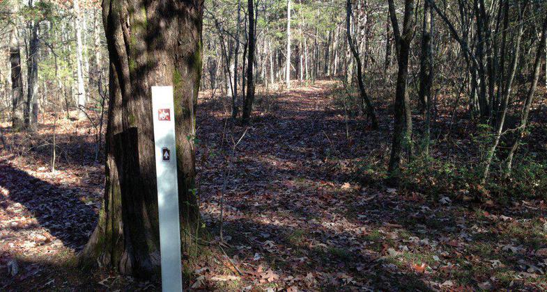 Fort Henry Trail System in Land Between the Lakes. Photo by USDA Forest Service.