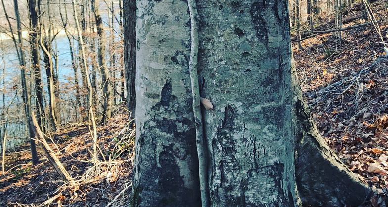 Photo by Suzanne Fisher.