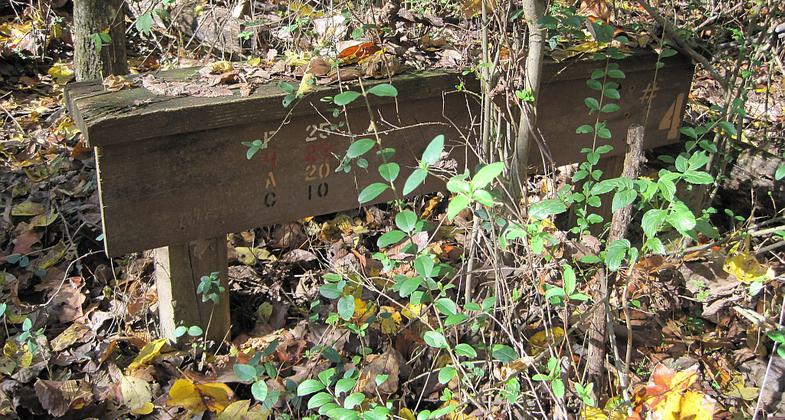T. O. Fuller State Park in Memphis, Tennessee. Photo by Thomas R Machnitzki.