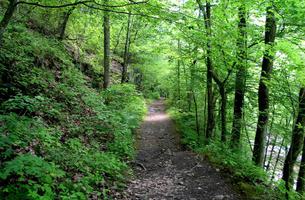 Laurel-Snow Trail