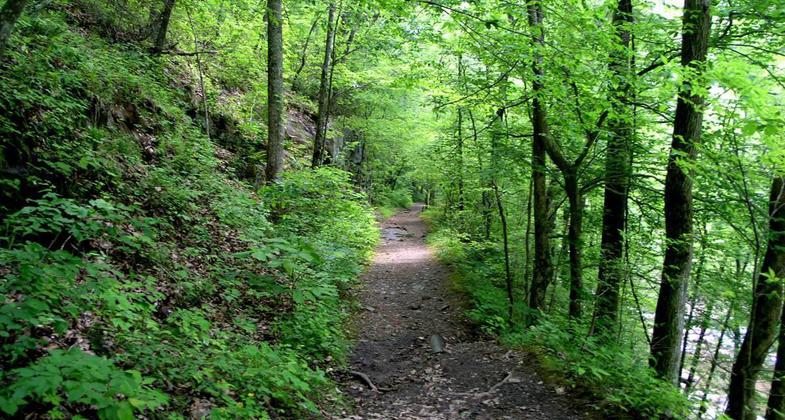Laurel-Snow State Natural Area. Photo by Tennessee DEC.