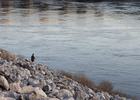 Fishing by the Old Hickory Lock and Dam near Nashville, Tennessee. Photo by the greenj.