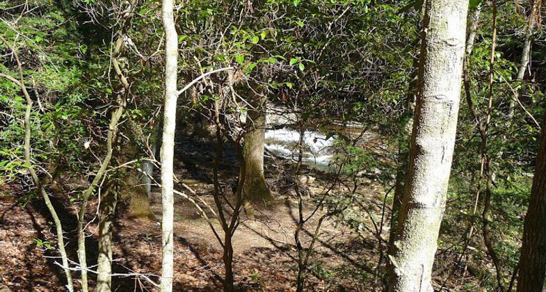 Icicles in May. Photo by Kelly Stewart.