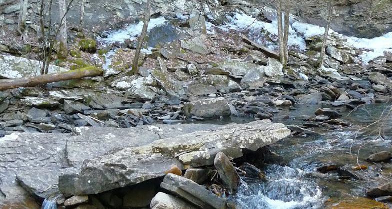 Piney River Nature Hike taken in 2010. Photo by Kelly Stewart.