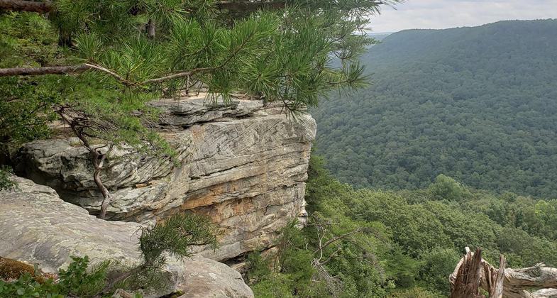 The 9.4 mile Laurel, Greeter Falls, BCR and Stone Door Loop trail near Altamont. Photo by Shannon Ours.