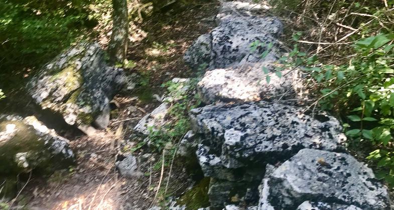 Trail around sinkhole. Photo by Andrew McDonagh.