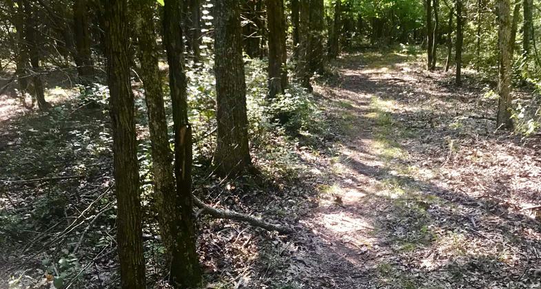 Day Use Area Fee guidelines, seasonal. Photo by Andrew McDonagh.