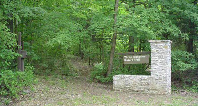 Trail entrance at Cook Day Use Area. Photo by Courtesy Recreation.gov.