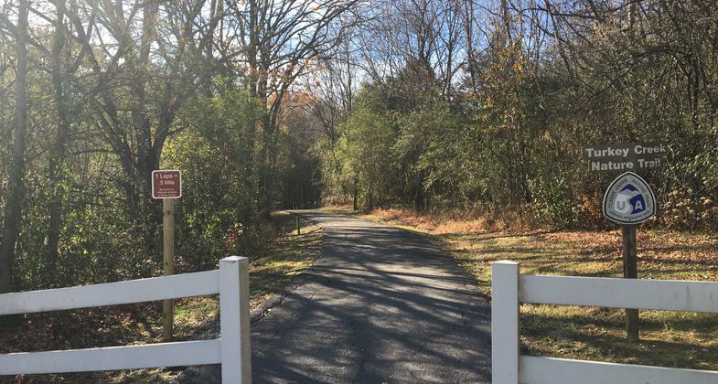 Turkey Creek Nature Trail. Photo by Donna Kridelbaugh & John Stone.
