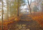 The CCC overlook at the top end of the Yellow Rock Trail in Devil's Den State Park, Arkansas, viewed through light fog moments a. Photo by Sam Wilson.