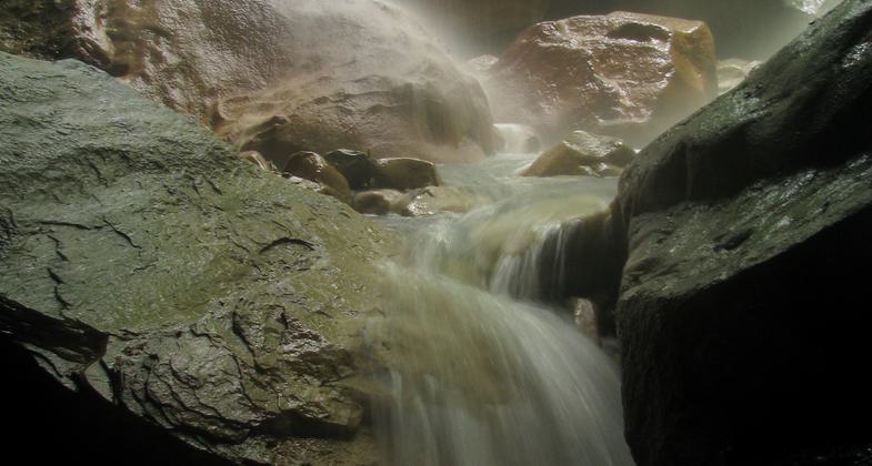 Pale pink Azalea cluster. Photo by Marty Silver.