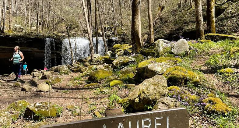Virgin Falls to Upland Loop trail. Photo by Shannon Ours.